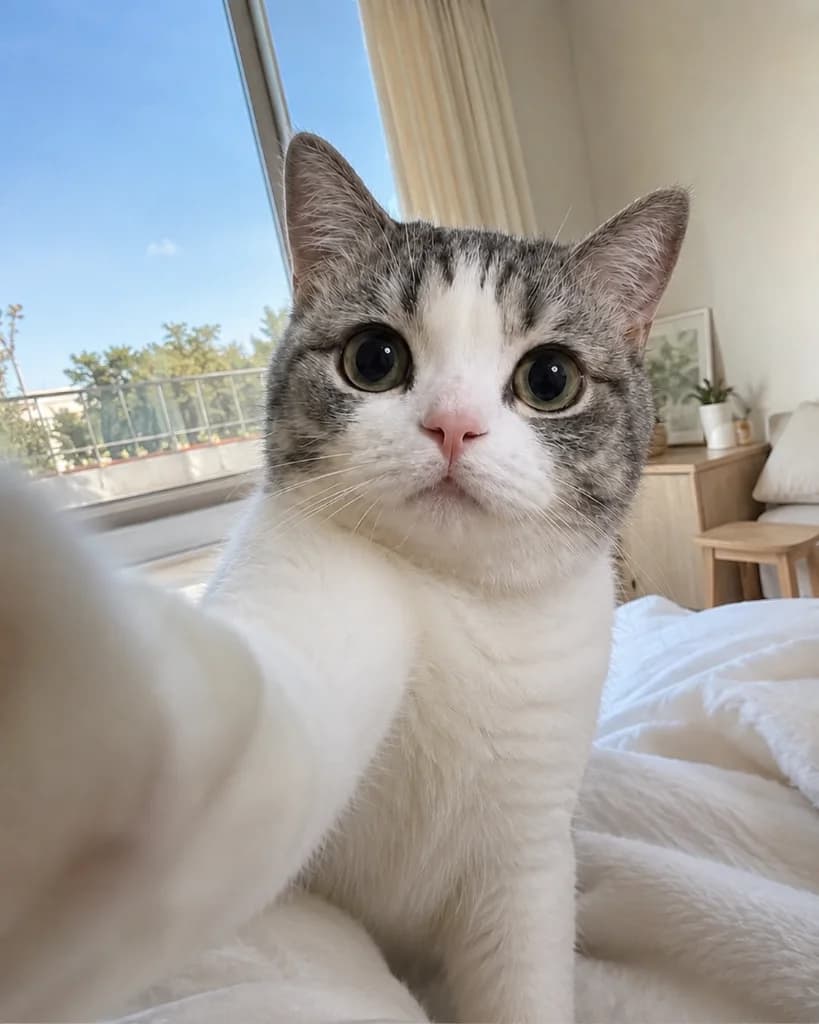 Cute selfie
